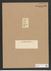 Gomphonema capitatum Ehr. (de-Toni-Nr.: Genus 37, Species 1728) Zeichnungen Sammlung Grunow Nr. 3366 (NHMW-BOT-W0370883)